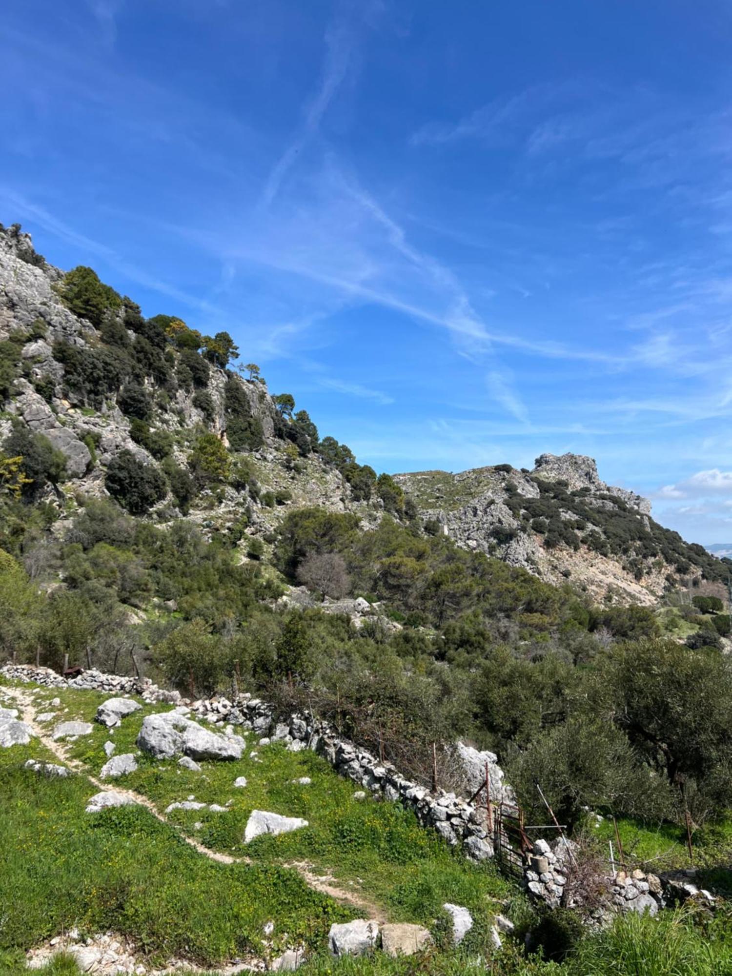El Endrinal Lägenhet Grazalema Exteriör bild
