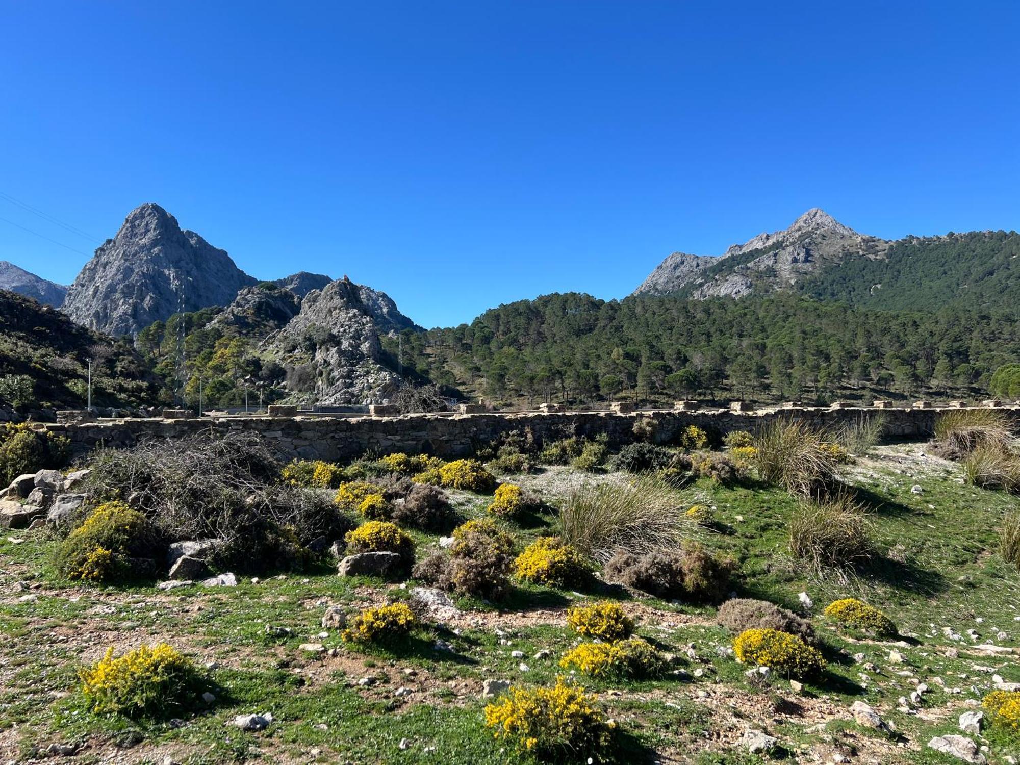 El Endrinal Lägenhet Grazalema Exteriör bild